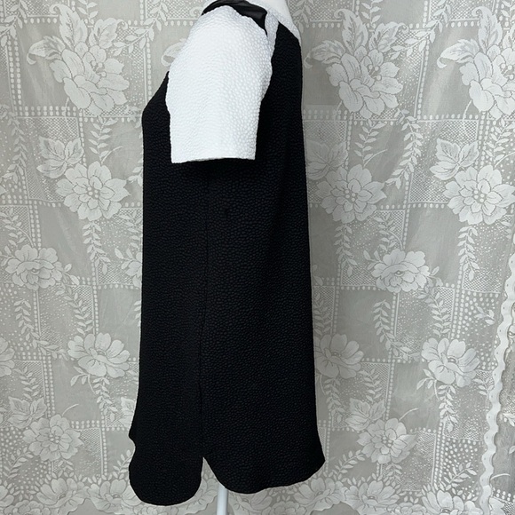 Kensie Colorblock Shift Short Sleeve Retro Skater Textured Dot Sheath Dress - Picture 9 of 10